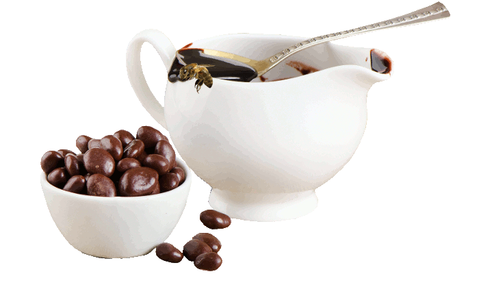 Pszczoła łakomczucha latająca nad kawą